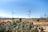 A landscape featuring several wind turbines in a dry, open area with some vegetation in the foreground, including numerous cacti. An electrical power grid facility is visible on the right side. The sky is clear and blue, suggesting a bright sunny day, and mountains can be faintly seen in the background.