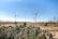 A landscape featuring several wind turbines in a dry, open area with some vegetation in the foreground, including numerous cacti. An electrical power grid facility is visible on the right side. The sky is clear and blue, suggesting a bright sunny day, and mountains can be faintly seen in the background.