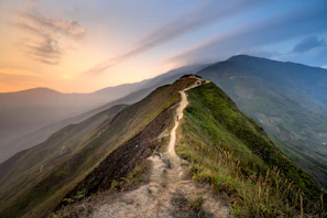 A scenic mountain trail winding through lush greenery under a warm sunset orange sky.