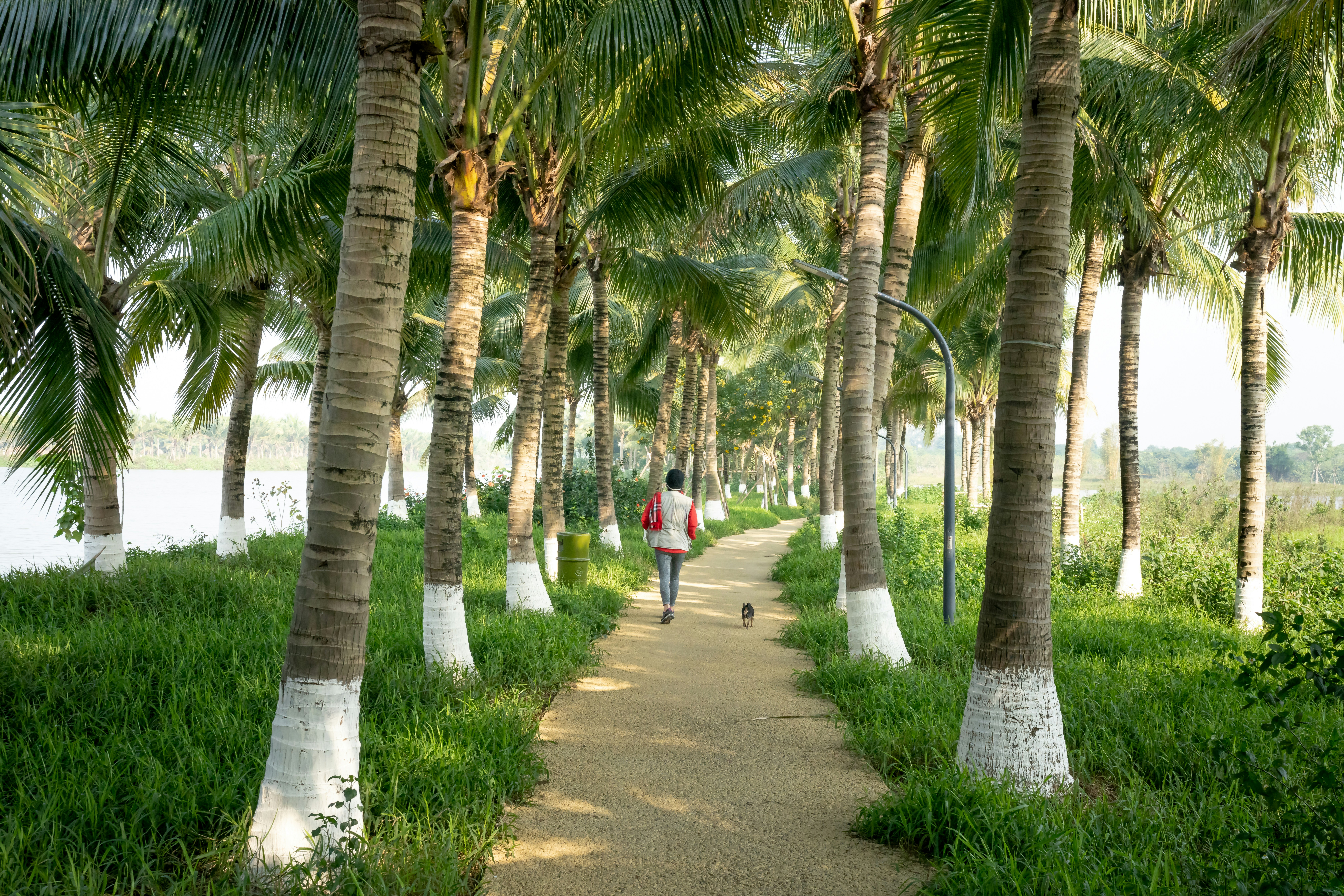 two people walking down a path between palm trees