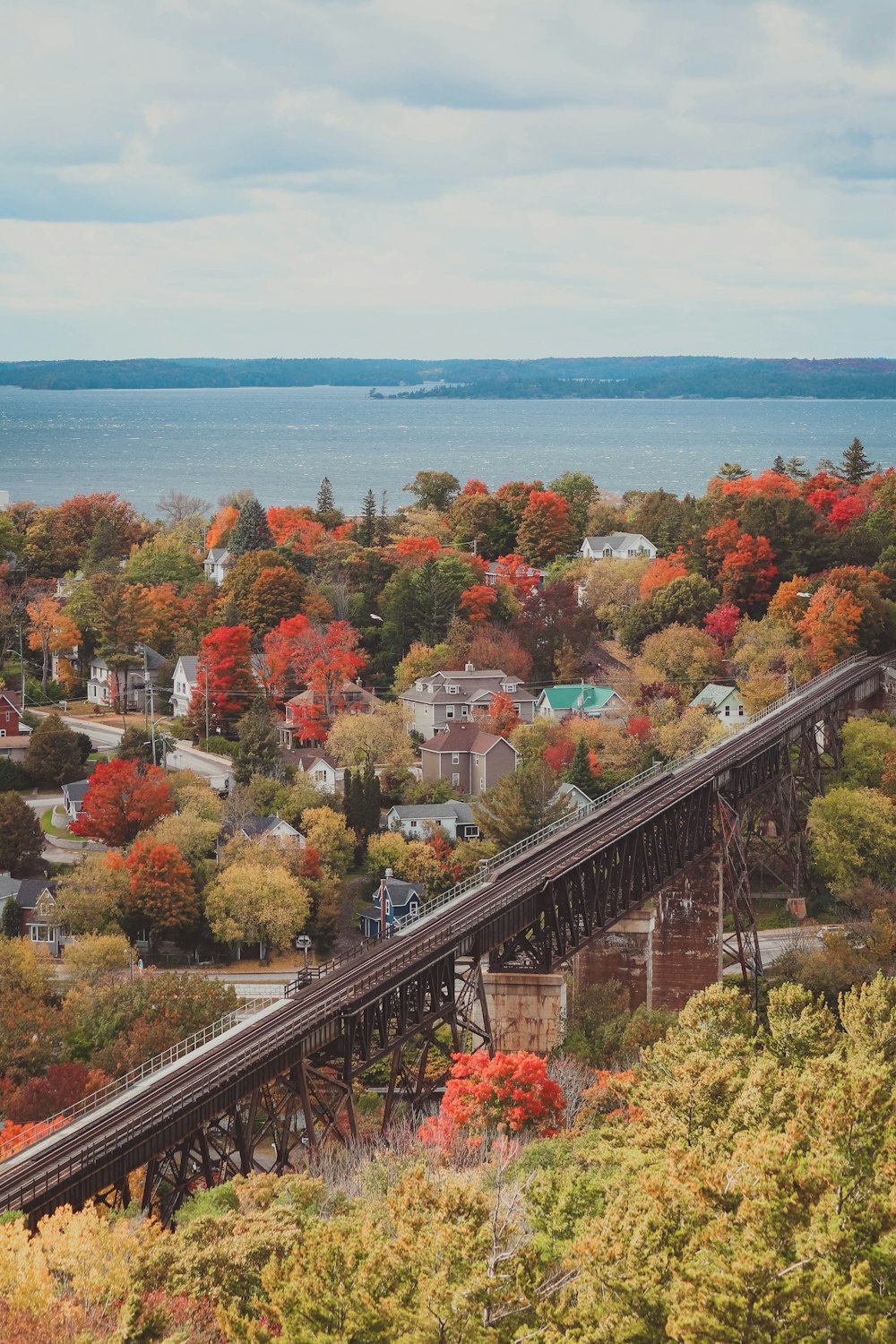 a train traveling over a bridge surrounded by trees