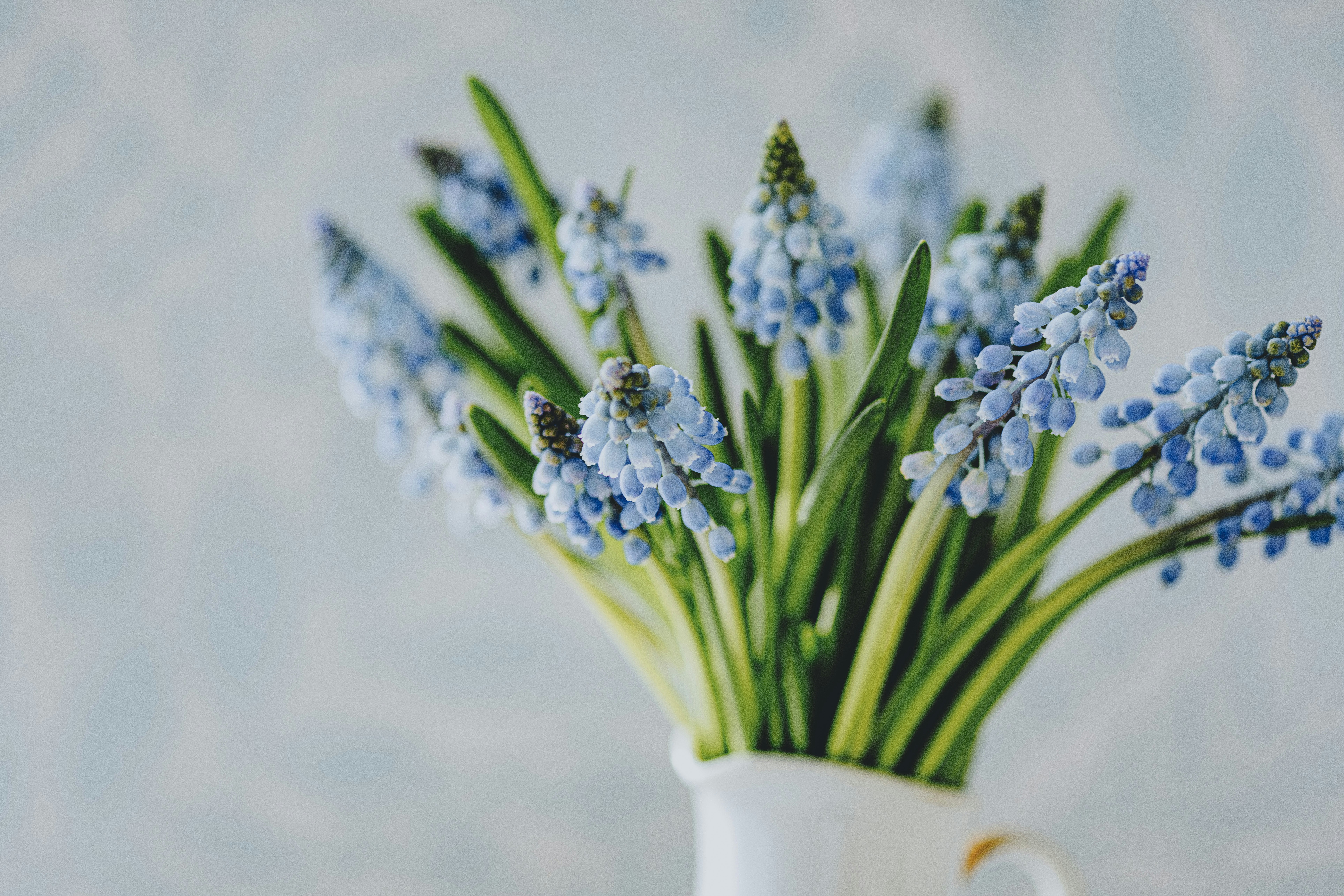 Photo by anitaaustvika