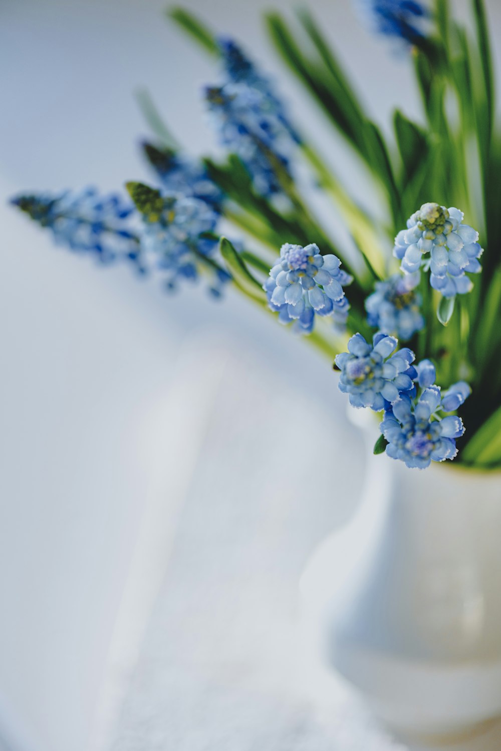 a white vase filled with blue flowers on top of a table