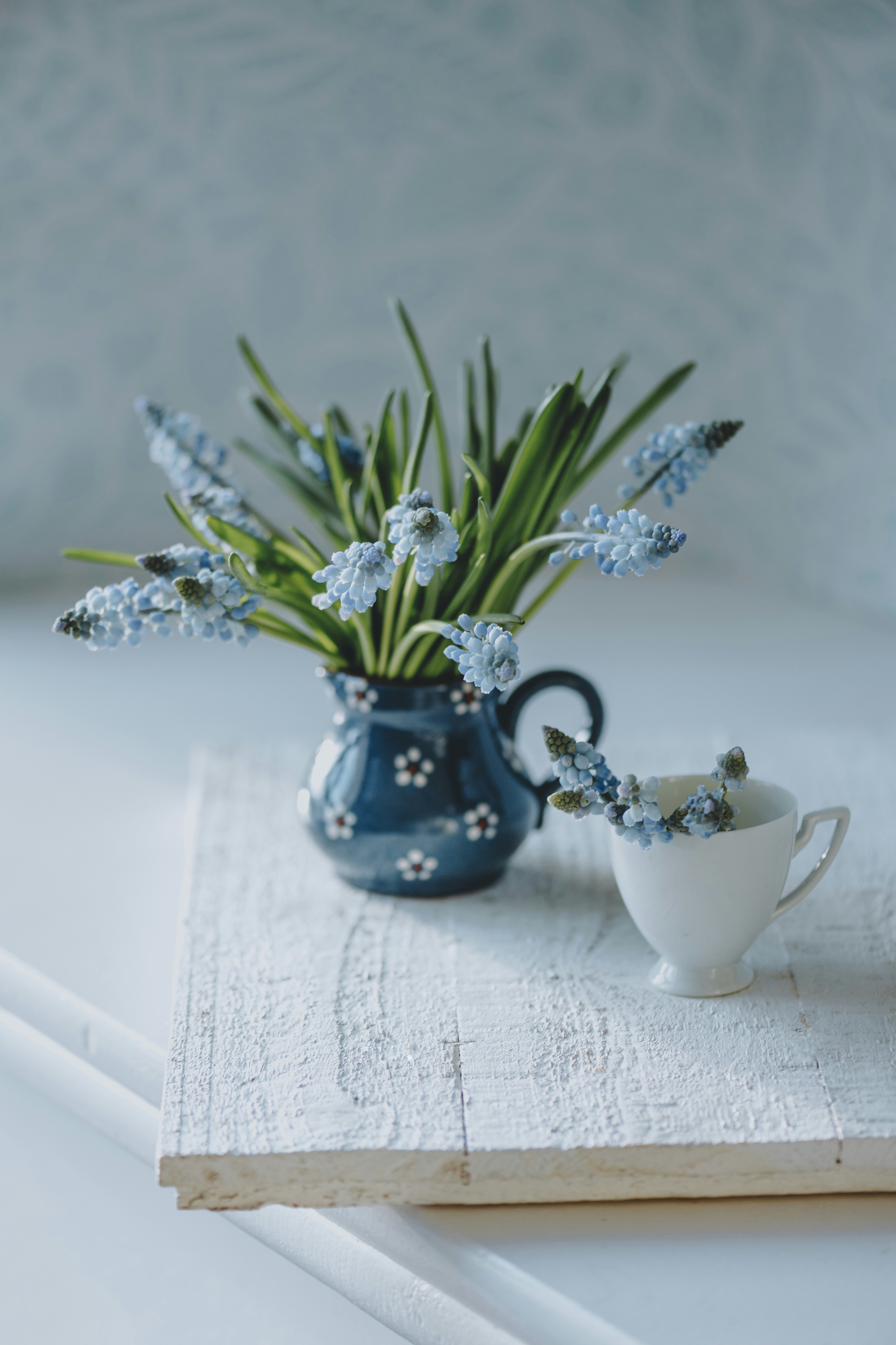Photo by anitaaustvika