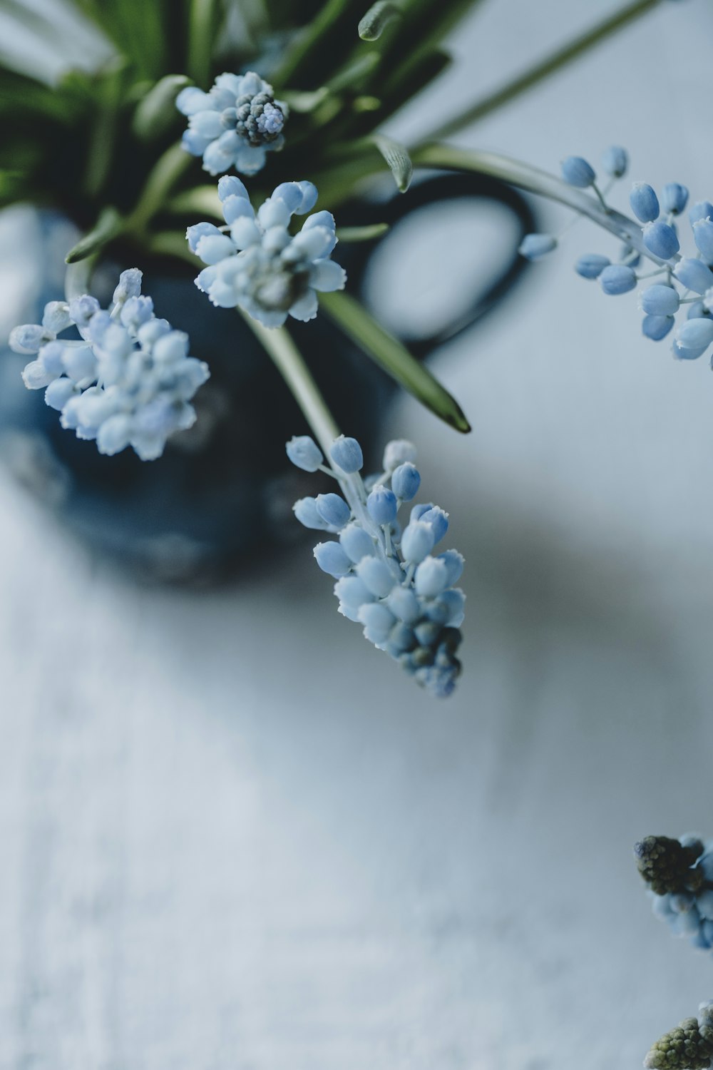 a blue vase filled with blue flowers on top of a table