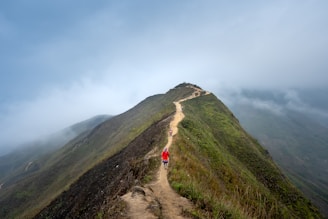 Adventurers trekking on the scenic Rinjani mountain trail.