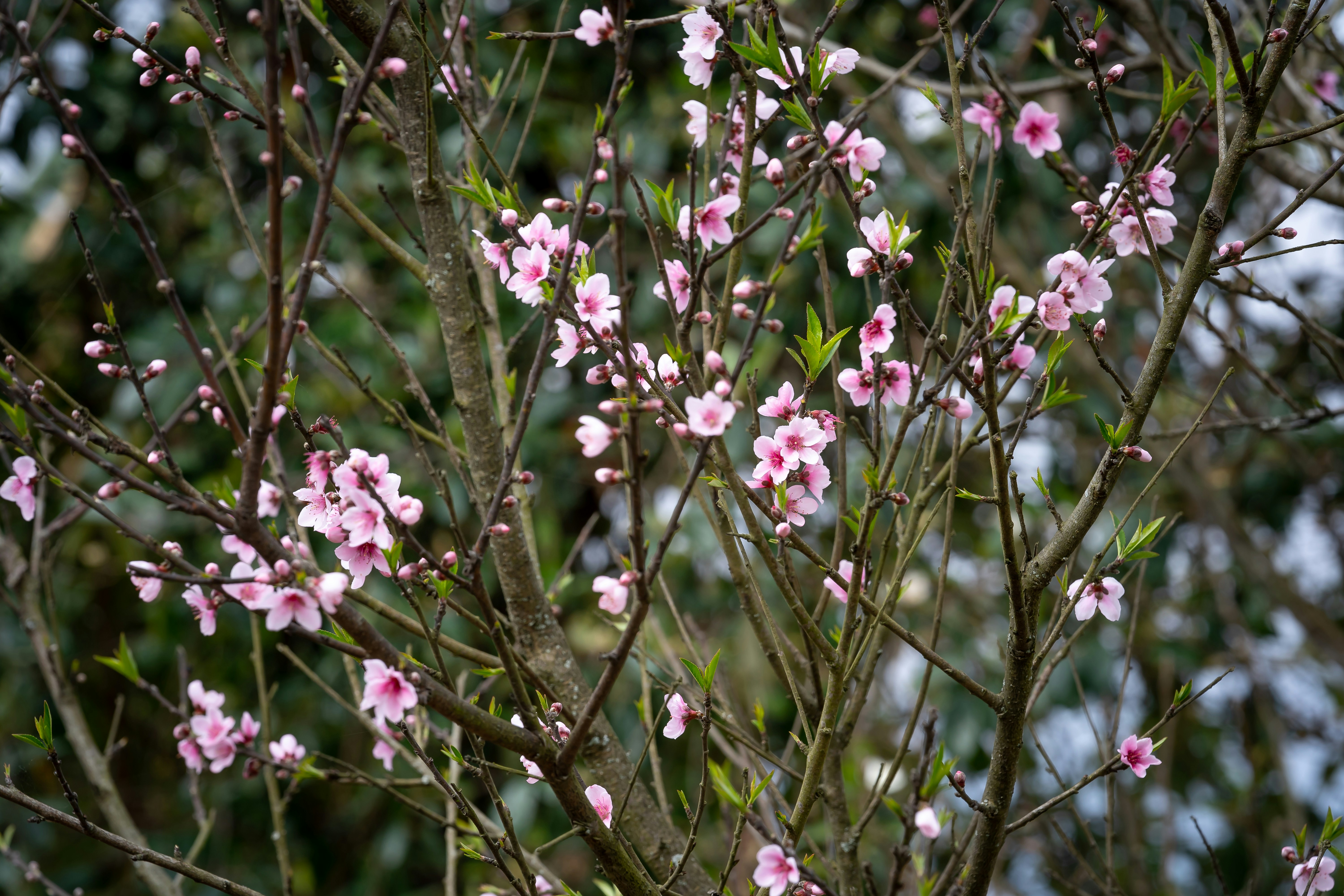 Photo by quangpraha