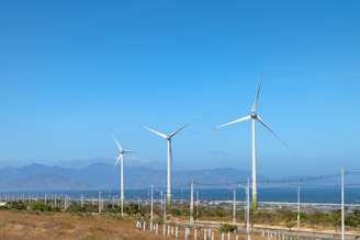 A landscape featuring several large wind turbines set against a clear blue sky. The turbines are located in a grassy area, and in the distance, mountains can be seen. Power lines run parallel to the turbines, while shrubs and small plants are scattered across the terrain.