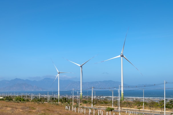 A landscape featuring several large wind turbines set against a clear blue sky. The turbines are located in a grassy area, and in the distance, mountains can be seen. Power lines run parallel to the turbines, while shrubs and small plants are scattered across the terrain.
