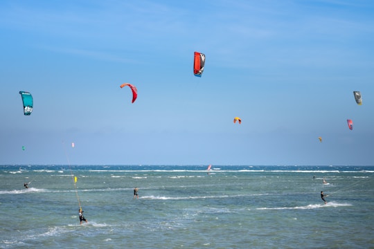 Multiple kite surfers are gliding across the ocean waters, each controlling a colorful kite that soars high above. The sky is clear with a soft blue color, and the ocean looks dynamic with visible waves.