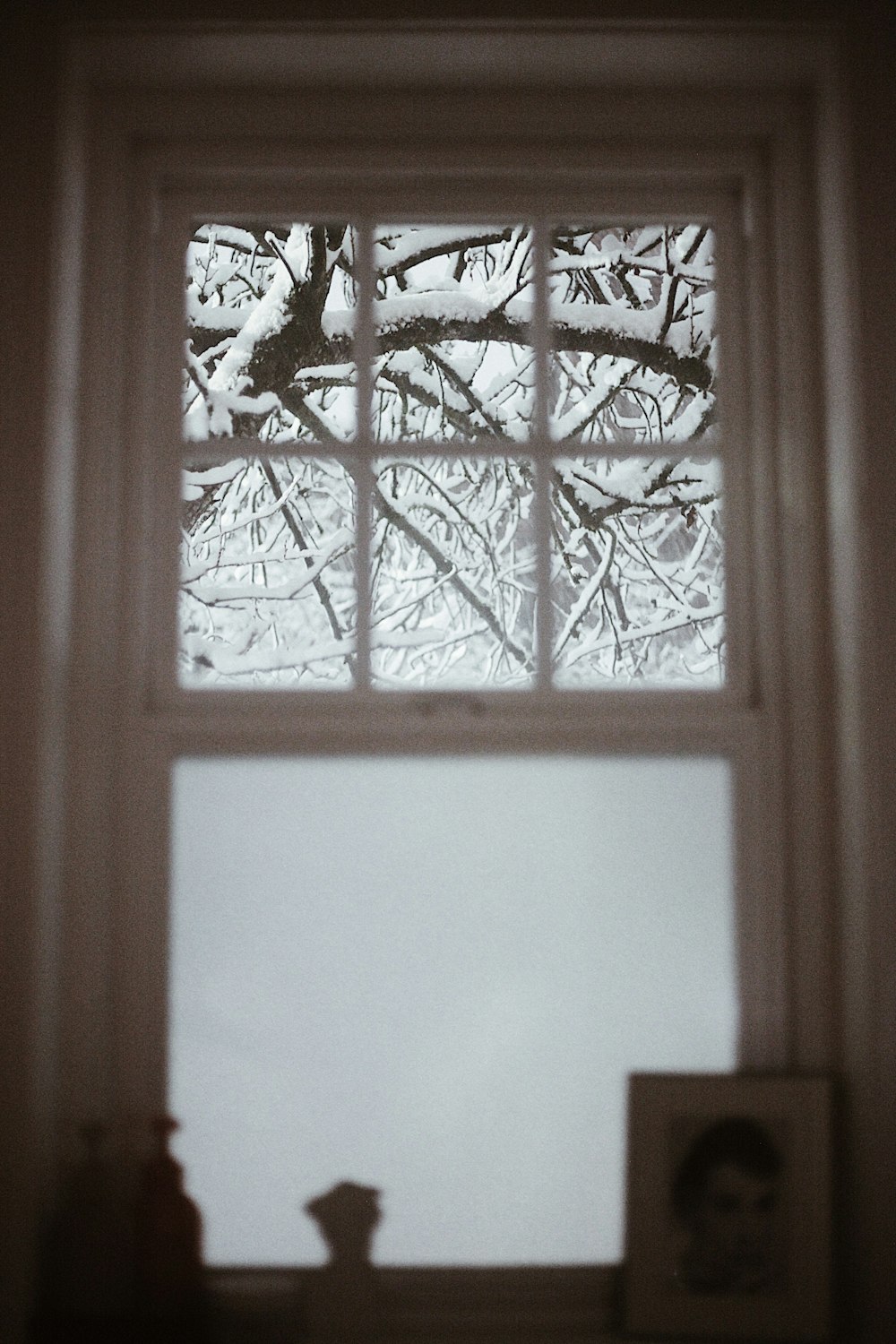 uma imagem de uma árvore fora de uma janela