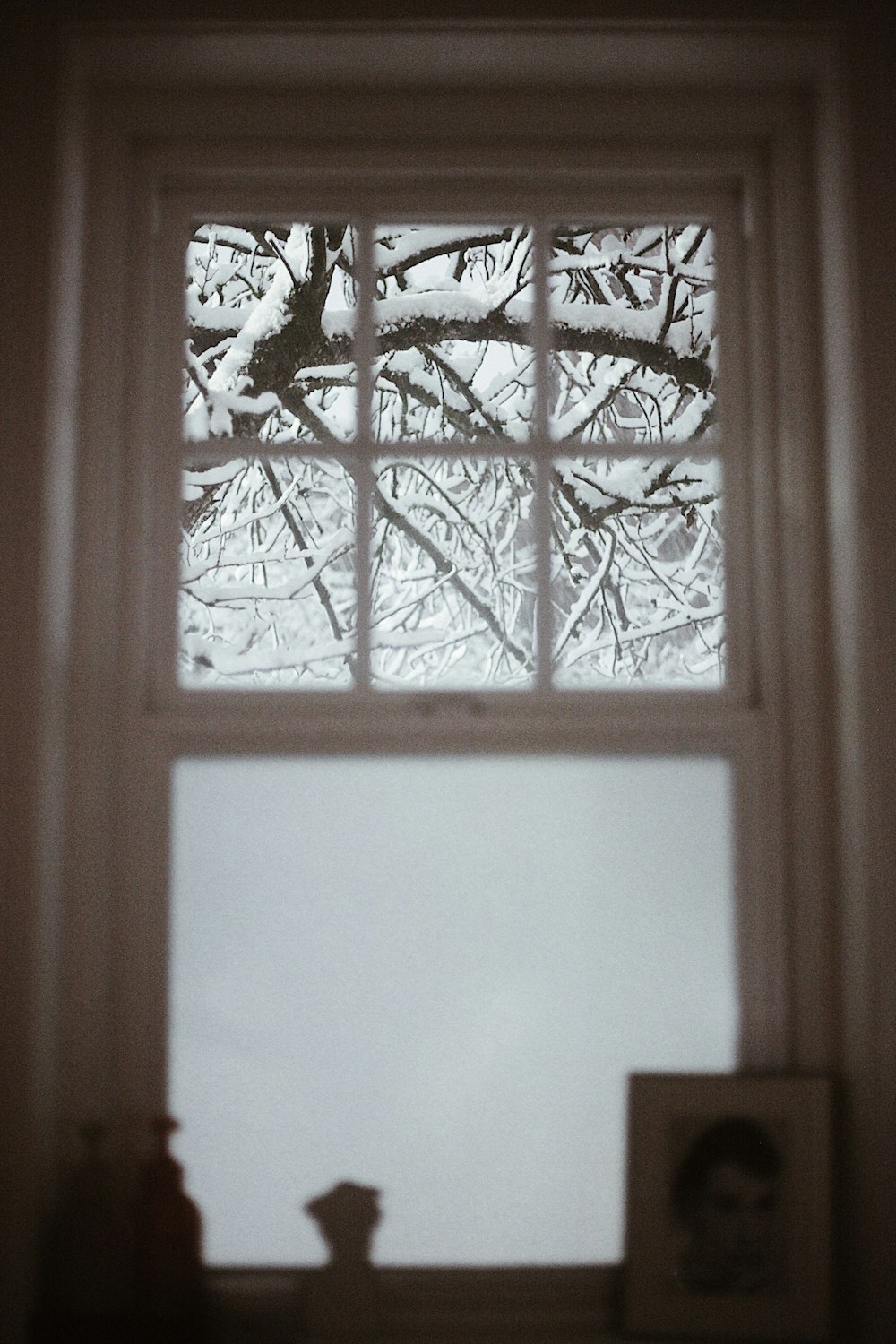 a picture of a tree outside of a window