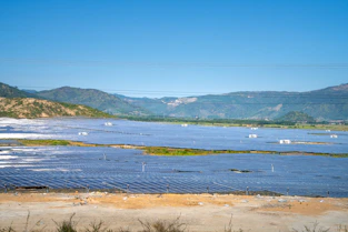 A vast solar farm with rows of panels under a bright sun.