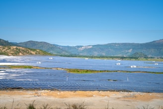 A vast solar panel farm is spread across a flat landscape with clear blue skies and distant green hills in the background. The panels are organized in neat rows, reflecting sunlight.