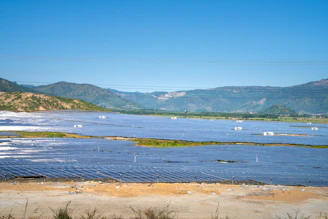 Aerial view of a solar farm with rows of solar panels under a clear blue sky.