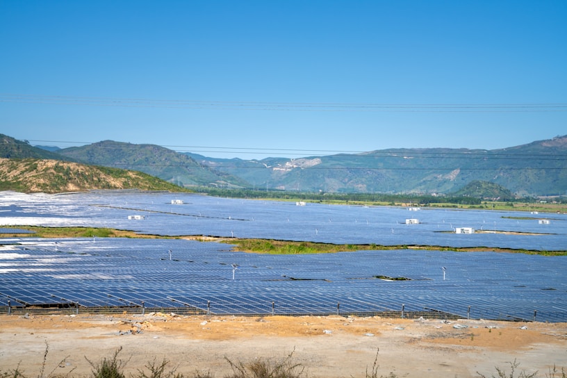 A solar farm with rows of photovoltaic panels under a clear sky.