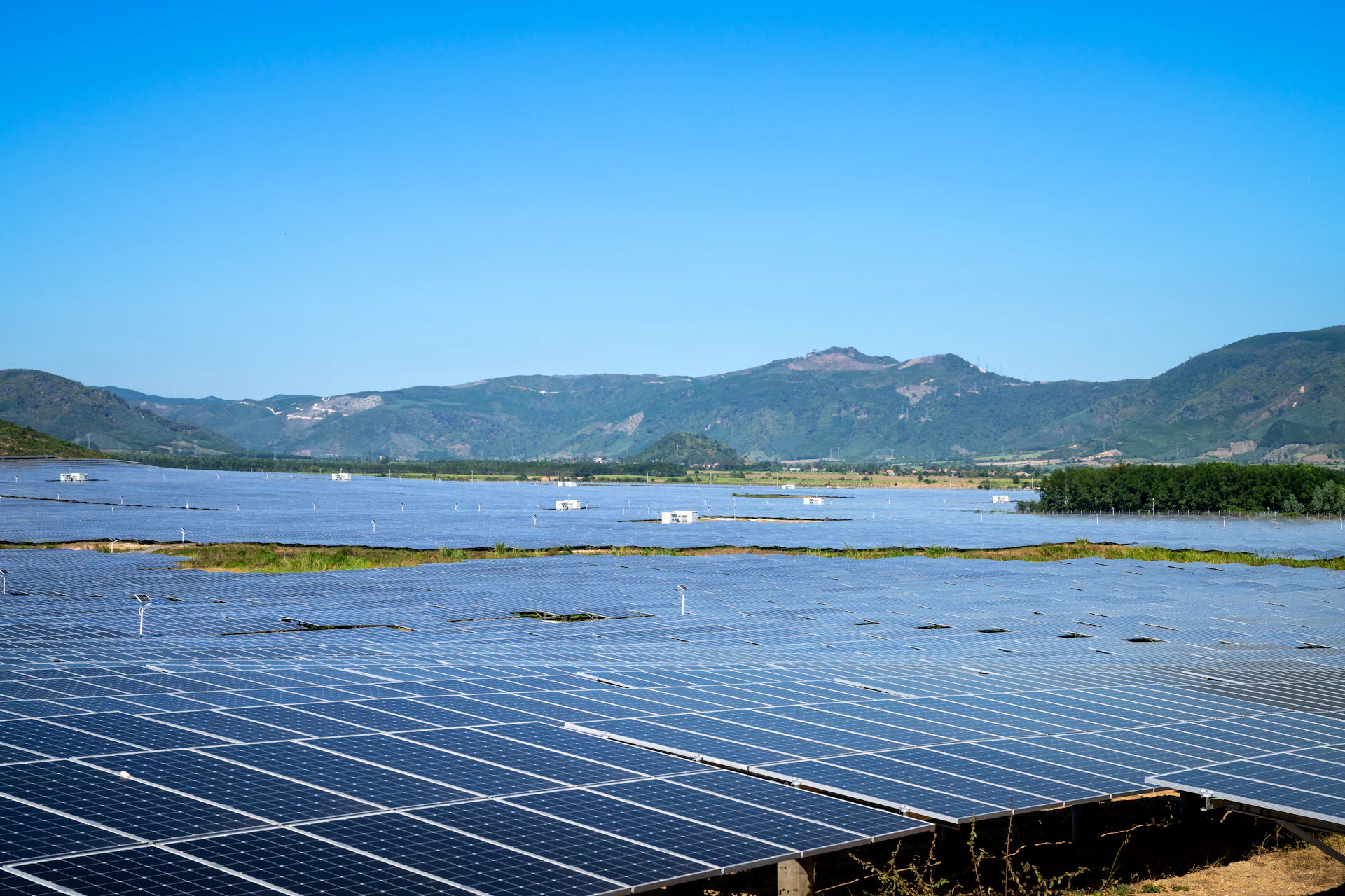 a large amount of solar panels in a field