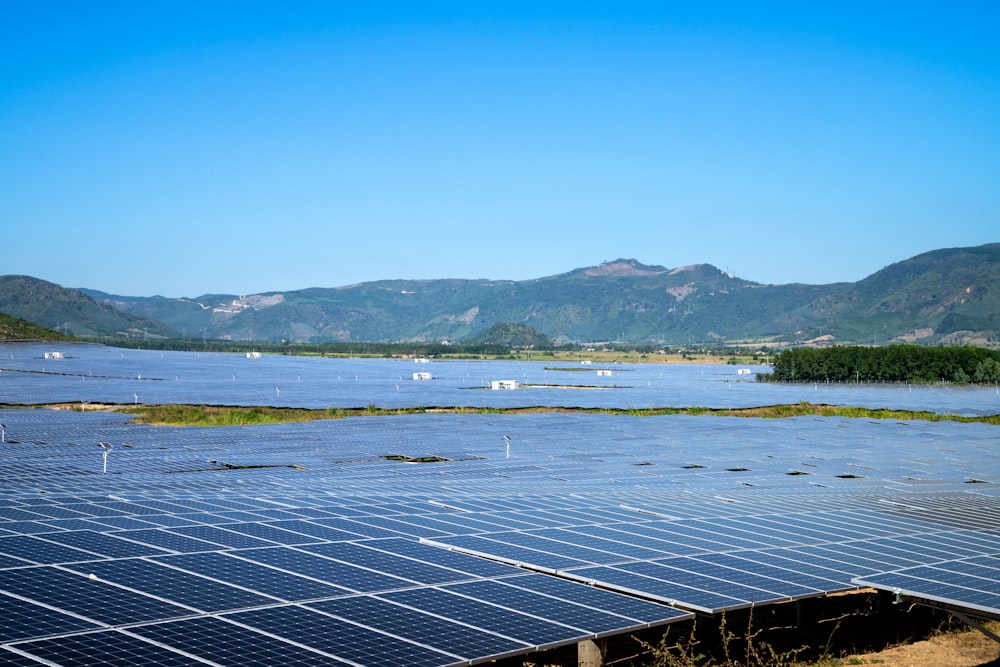 a large amount of solar panels in a field