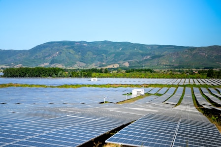 Solar panels powering a newly established borehole surrounded by green plants.