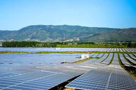 A vast field of solar panels arranged in rows, surrounded by lush greenery and set against a backdrop of rolling hills and a clear blue sky. The solar panels are evenly distributed, indicating a large-scale solar power plant.