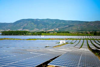 A commercial solar farm with rows of panels gleaming in the sunlight, surrounded by greenery.