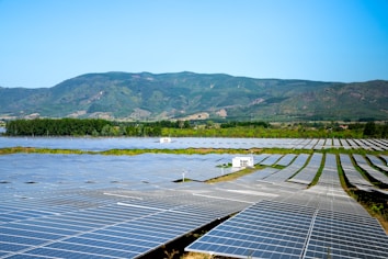 A vast field of solar panels arranged in rows, surrounded by lush greenery and set against a backdrop of rolling hills and a clear blue sky. The solar panels are evenly distributed, indicating a large-scale solar power plant.