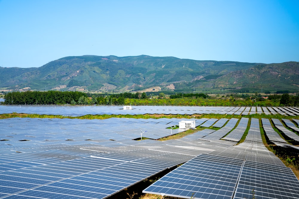 rows of solar panels in a field with mountains in the background