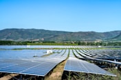 rows of solar panels in a field with mountains in the background