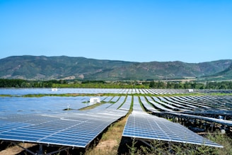 rows of solar panels in a field with mountains in the background