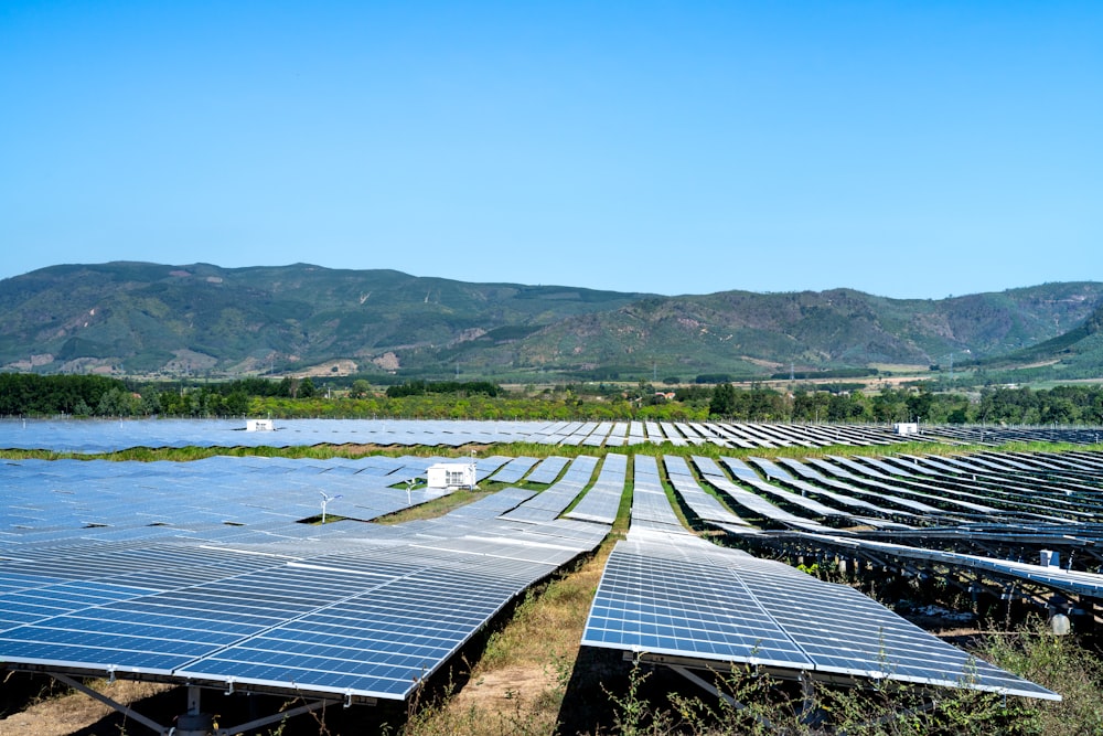 rows of solar panels in a field with mountains in the background