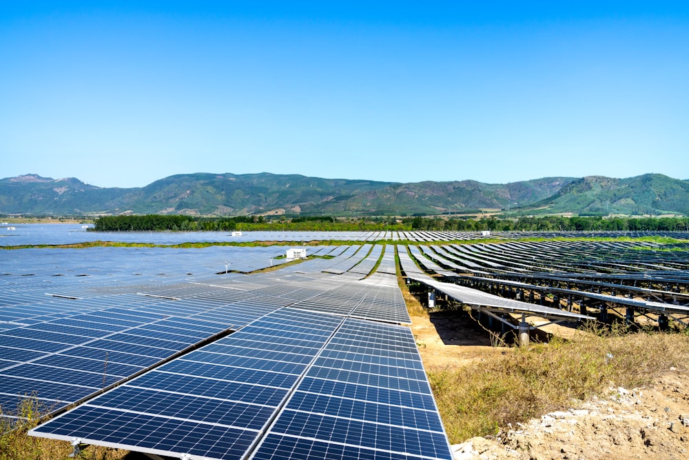 rows of solar panels in a field with mountains in the background