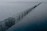 A narrow, linear arrangement of fishing nets extends into the sea, forming a clear boundary in the water. The scene conveys a sense of solitude and tranquility with calm waters and a hazy horizon.