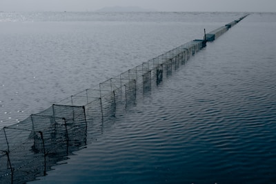 A narrow, linear arrangement of fishing nets extends into the sea, forming a clear boundary in the water. The scene conveys a sense of solitude and tranquility with calm waters and a hazy horizon.