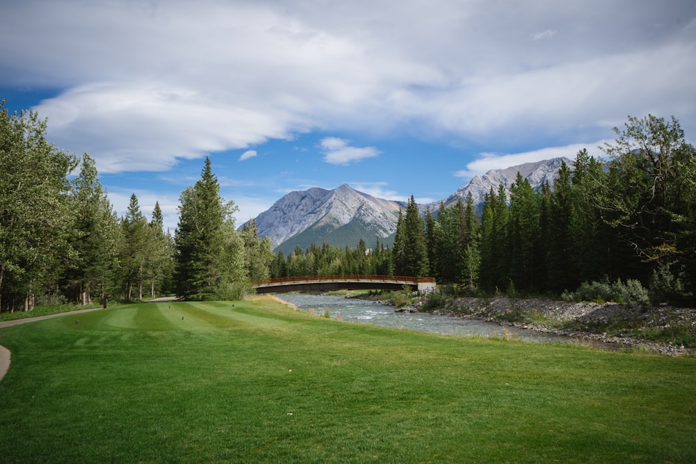 a bridge over a river in the middle of a green field