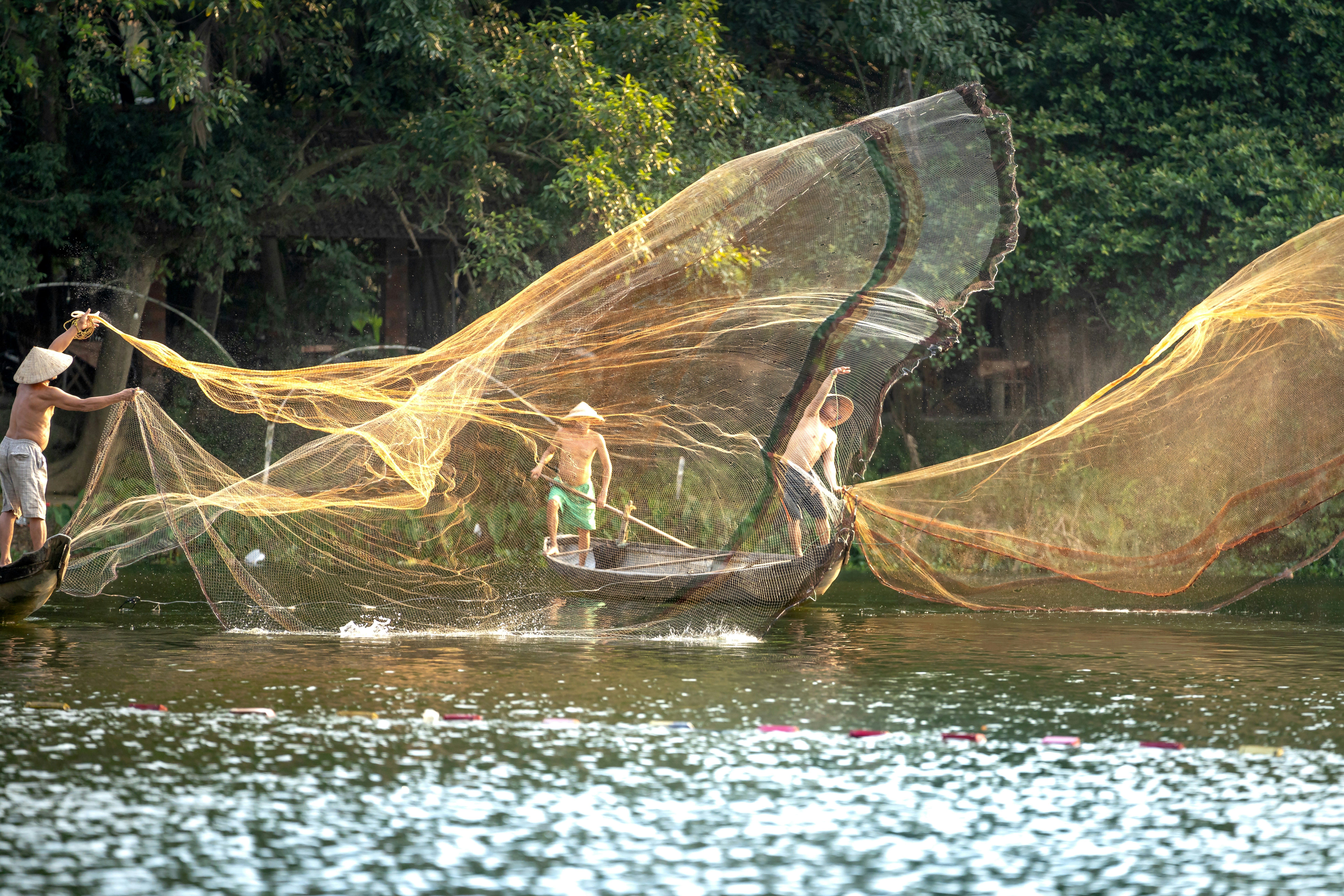 Photo by quangpraha