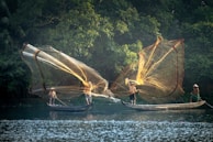 Fishermen are casting large nets from small wooden boats on a calm river, surrounded by dense green foliage. The sunlight illuminates the golden nets and creates reflections on the water.