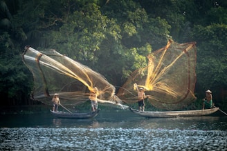 Fishermen casting nets into a calm river at sunrise.
