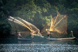 Fishermen are casting large nets from small wooden boats on a calm river, surrounded by dense green foliage. The sunlight illuminates the golden nets and creates reflections on the water.