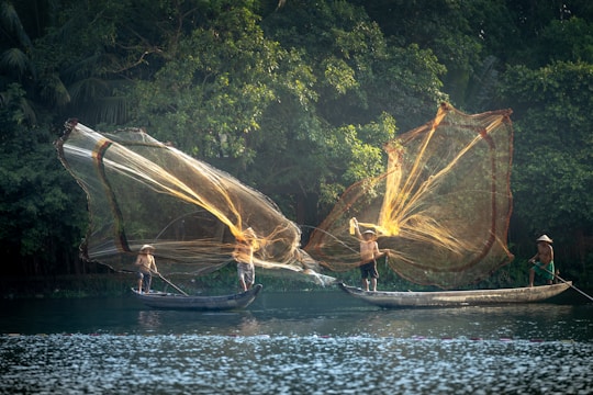 Fishermen are casting large nets from small wooden boats on a calm river, surrounded by dense green foliage. The sunlight illuminates the golden nets and creates reflections on the water.