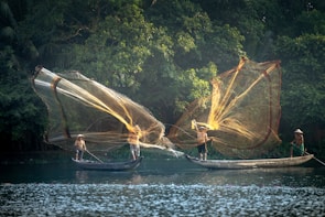 Traditional fishermen at work catching fish in the rich waters of Papua Tengah