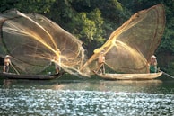 Two fishermen stand on separate boats in a picturesque setting, casting large nets into the air over a calm body of water. The sunlight illuminates the translucent nets, creating a golden hue against the lush greenery in the background.