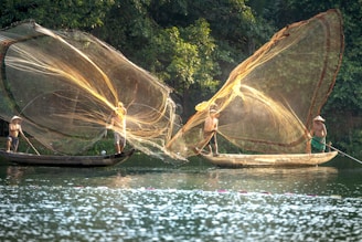 Two fishermen stand on separate boats in a picturesque setting, casting large nets into the air over a calm body of water. The sunlight illuminates the translucent nets, creating a golden hue against the lush greenery in the background.