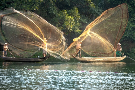 Two fishermen stand on separate boats in a picturesque setting, casting large nets into the air over a calm body of water. The sunlight illuminates the translucent nets, creating a golden hue against the lush greenery in the background.