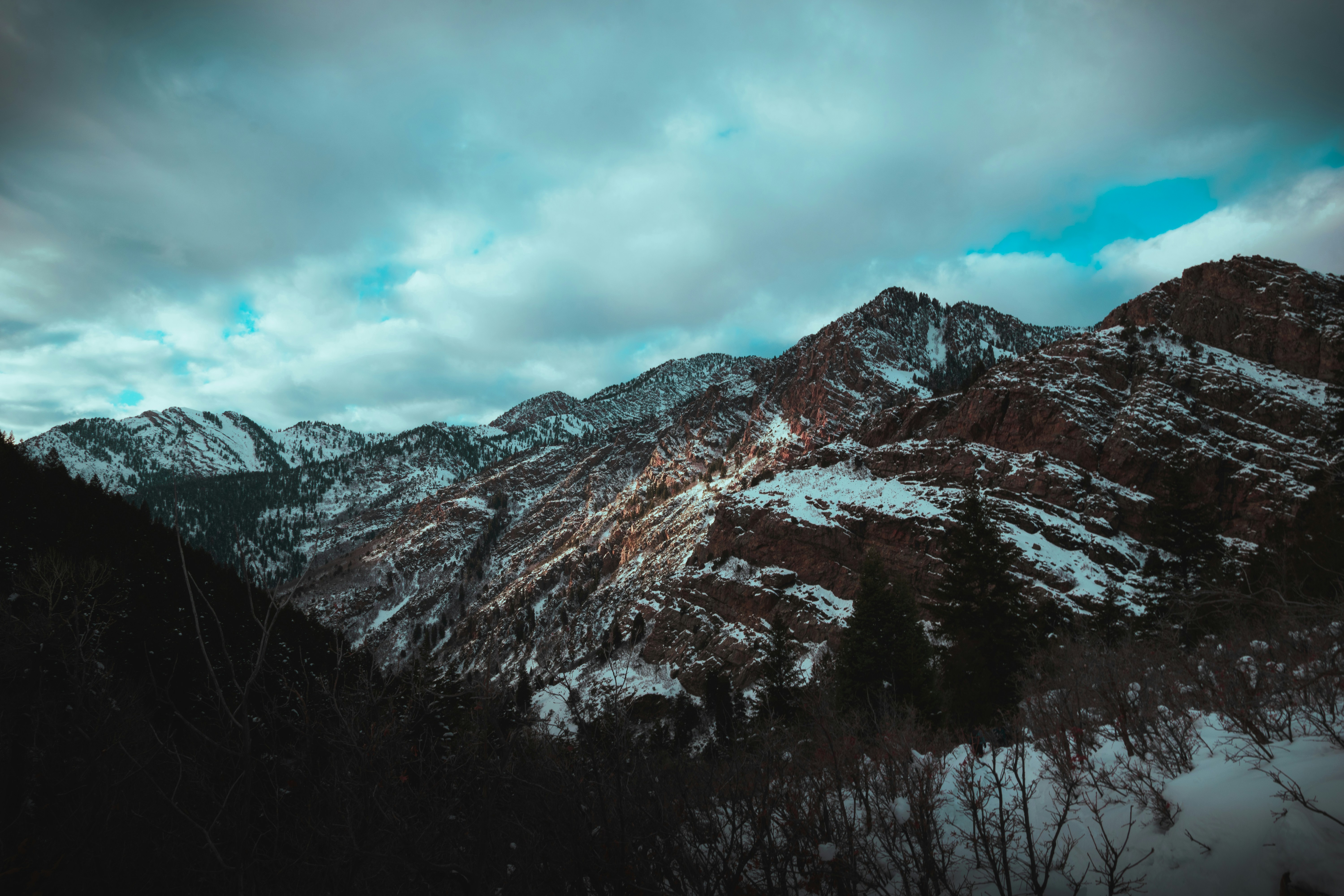 Photo by jdgreen