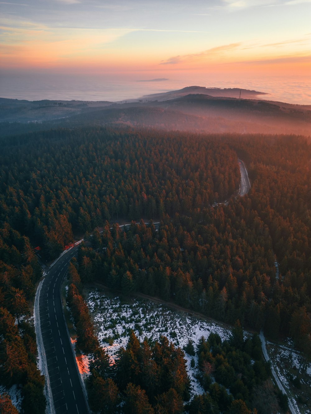 an aerial view of a road in the middle of a forest