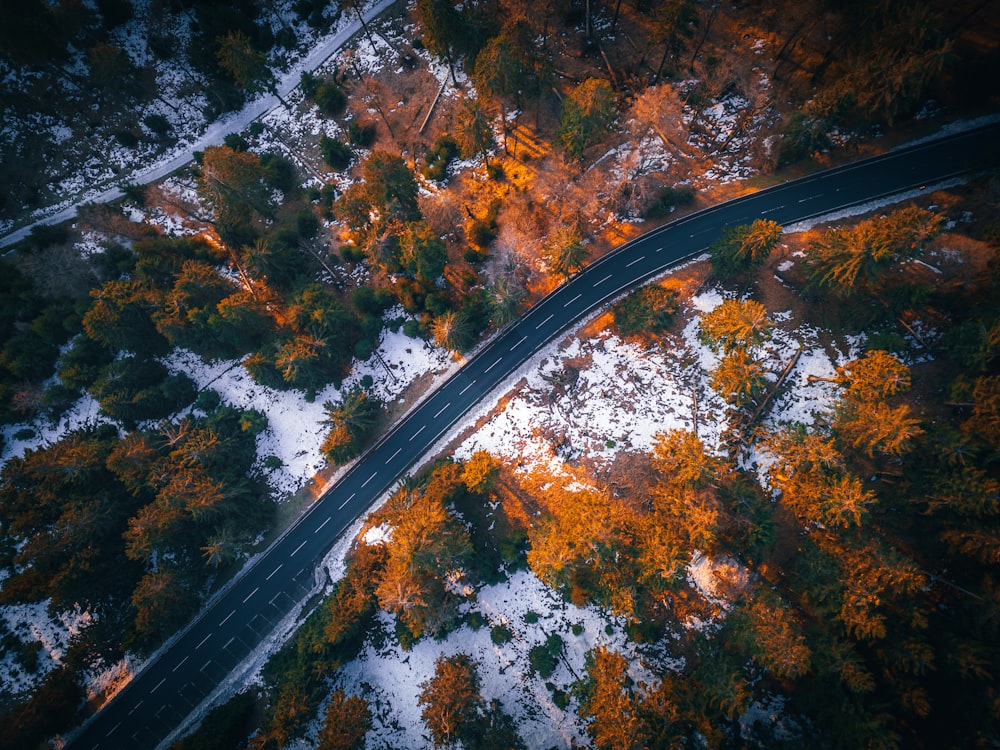 an aerial view of a road surrounded by trees