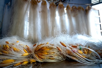Numerous white, delicate strands hang vertically, adorned with yellow, pod-like structures at the ends. These strands are organized in a way that suggests they are drying or being prepared in bulk. The setting appears to be industrial or artisanal, with natural light filtering through windows.