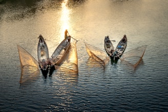 Several fishermen are in traditional wooden boats on a calm body of water. They are using large, conical fishing nets, which are illuminated by the golden light of the setting or rising sun, creating a serene and picturesque scene.