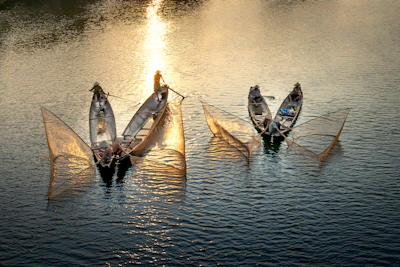 Local fishermen using traditional nets on a calm sea, with island hills in the background.