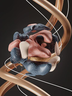 Small fiber neuropathy guide and treatment at BioWave Regeneration Houston TX